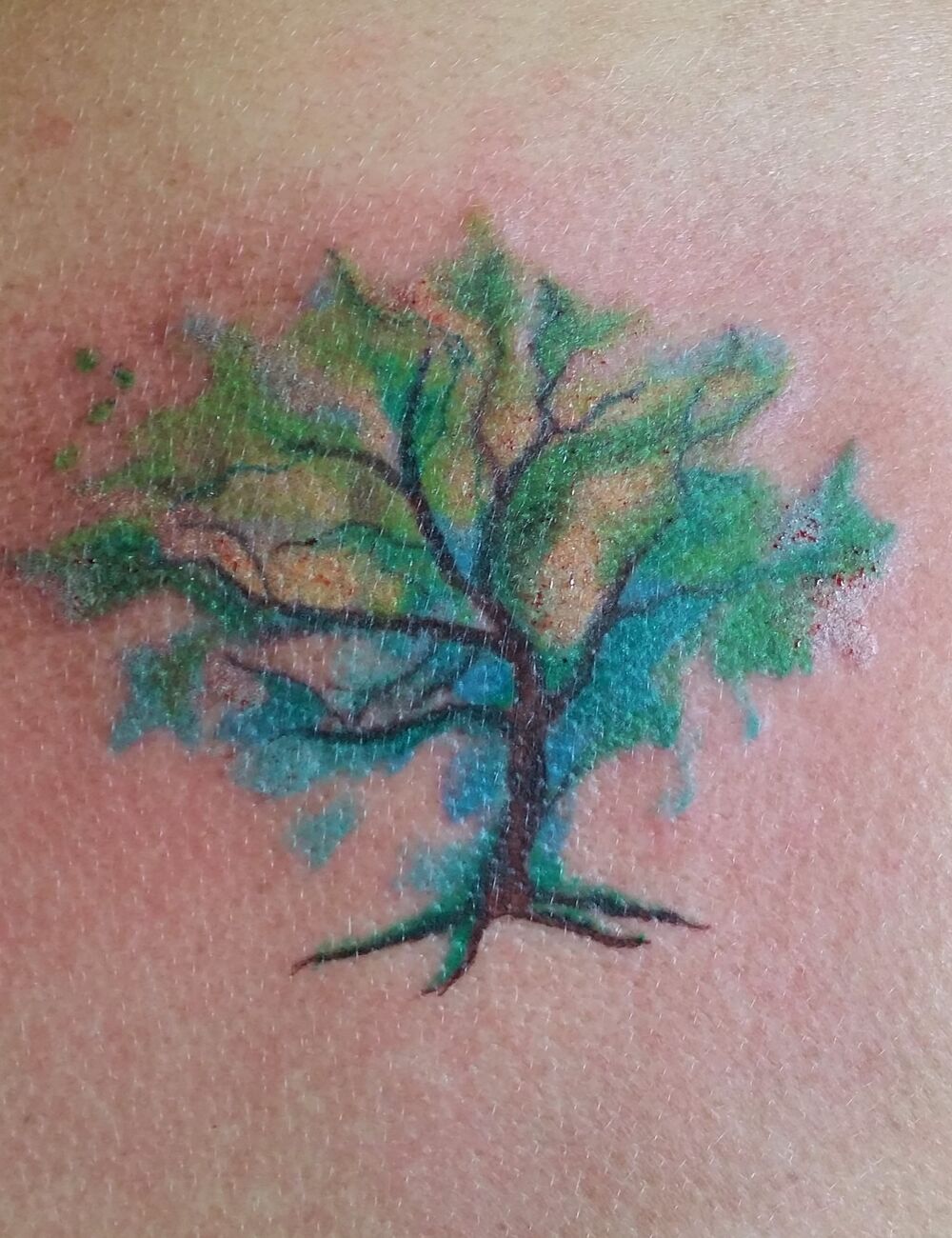Kleur